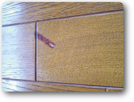 フローリング焦げ跡リペア